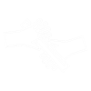 valtobot_ikon_white